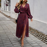 Dili 2025 Autumn And Winter Women's Temperament Elegant V Collar High-Waist Print Dress